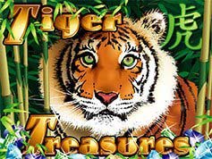 Tiger Treasure