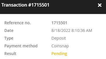 detailed view of the pending bitcoin deposit at everygame