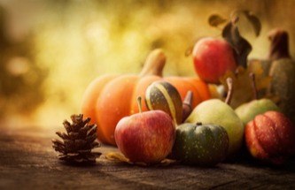 pumpkins and gourds