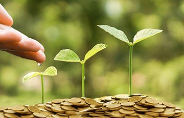 a person placing a drop of water on a small plant to show that nurturing a business can be seen as making it grow drop by drop