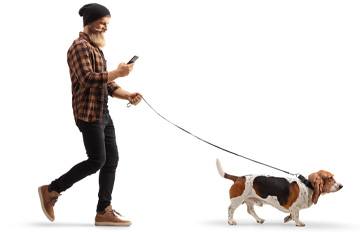 photo of a man walking his dog and playing online casino games on his phone at the same time.