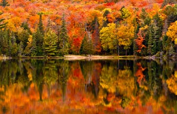 a view across a small lake of a forest ablaze with fall colors: red, orange, yellow, some green