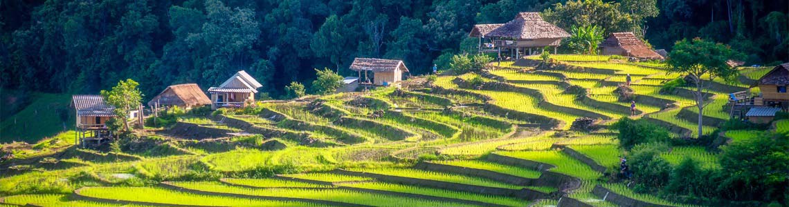 Thailand is an Exotic Destination for Bucket Listers - Get a glimpse playing Thai Emerald