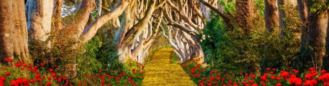 the yellow brick road with red flowers on both sides if the road leading into the scary forest