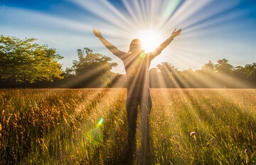 person standing in a cornfield facing the sun