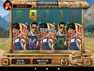 Fire Dragon screenshot