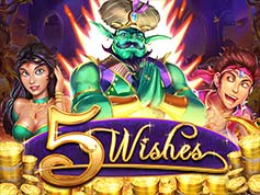 5Wishes