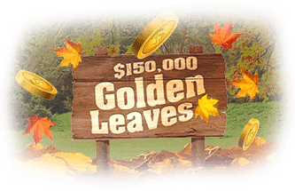 Golden Leaves promotion