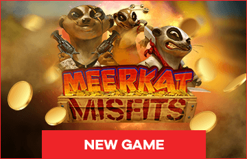 new game Meerkat Misfits