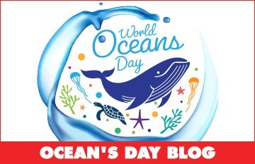Oceans Day Blog