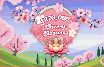 Cherry Blossoms promotion