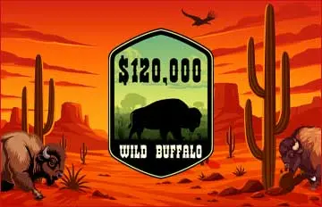 Wild Buffalo promotion